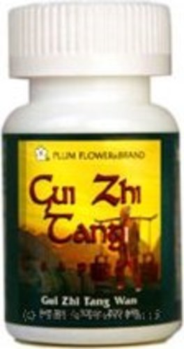 Gui Zhi Tang Teapills (Gui Zhi Tang Wan), 200 ct, Plum Flower